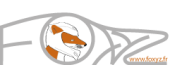 logo Foxyz